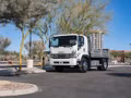2026 Isuzu FVR Derate 248 in Wheelbase - Image 14