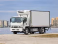 2027 Isuzu FVR 236 in Wheelbase - Image 24