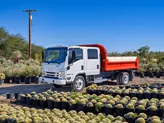 2026 Isuzu NPR-HD Crew Cab (N-Series Gas) 176 in Wheelbase - Image 20